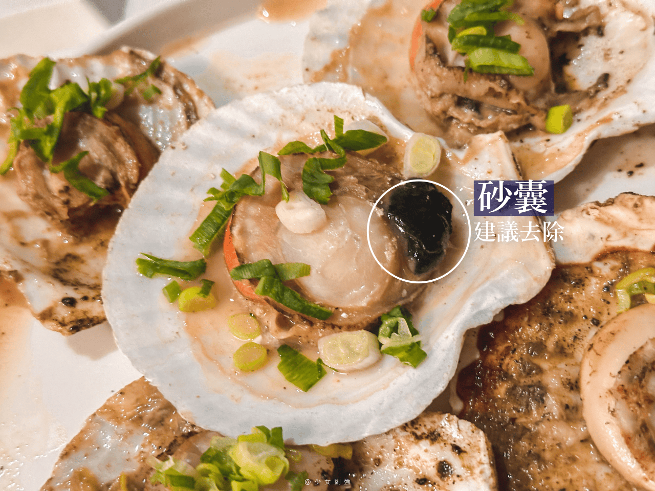 魚有王 x 姐夫嚴選：頂級海鮮美味推薦！