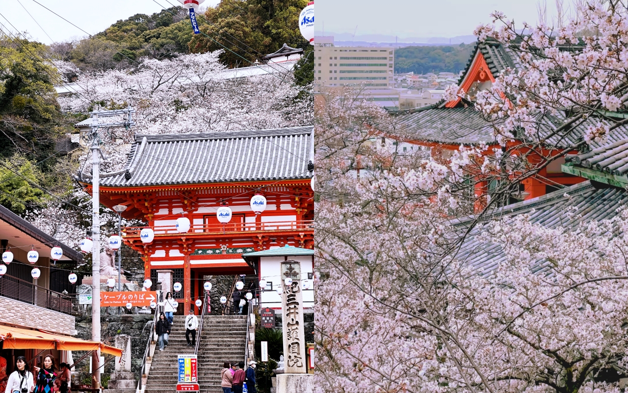 和歌山一日遊路線推薦|療癒鯛魚列車、美食海景、日式庭園一次收藏! - 第4張圖 和歌山