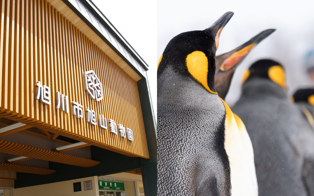 北海道樂享周遊券