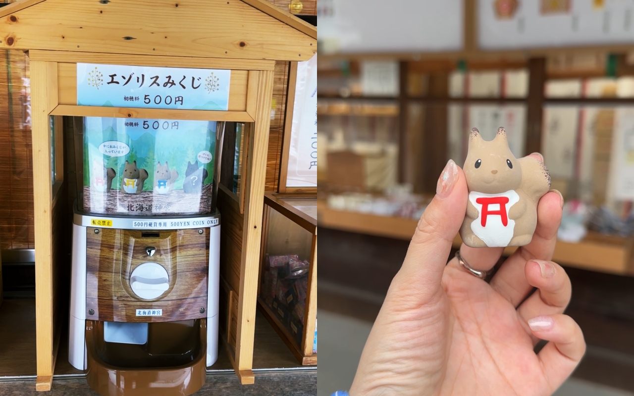 北海道自由行必訪！北海道神宮完整攻略：交通、參拜方式、御守、周邊散策一次看！