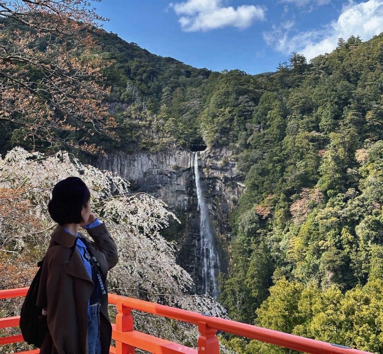 青岸渡寺攻略|熊野最古老佛寺!交通、參拜重點、三重塔拍照景點一次看 - 第6張圖 青岸渡寺