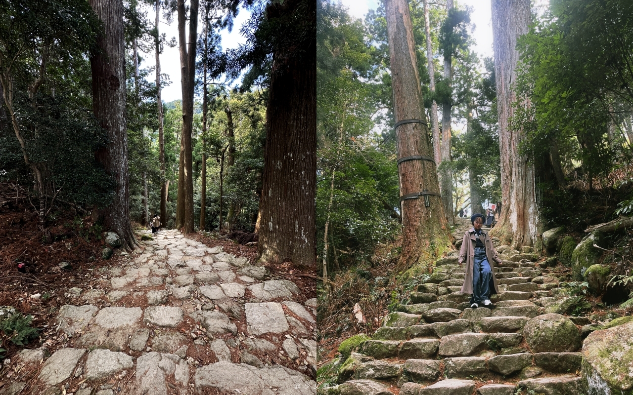 和歌山景點推薦：那智瀑布飛瀧神社｜必喝延命水！日本三大名瀑、交通、參拜重點一次看