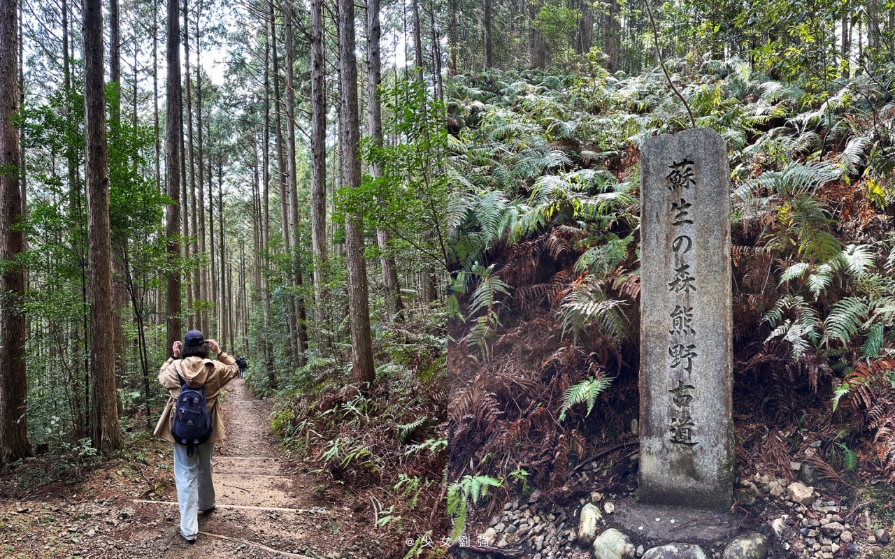 熊野古道新手攻略｜中邊路半日健行路線、交通、押印帳、雙朝聖證書一次看